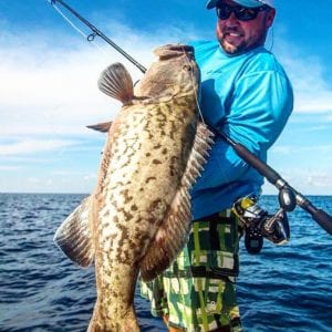 A large grouper caught on a nearshore fishing trip